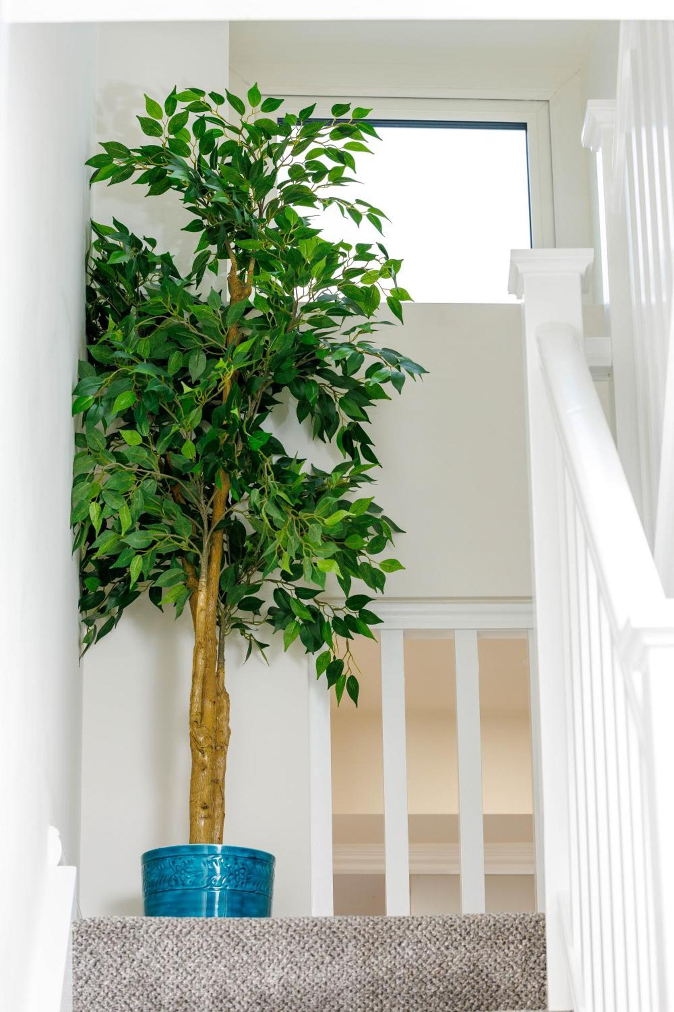 Sandbury Town House Kilkenny Exteriér fotografie